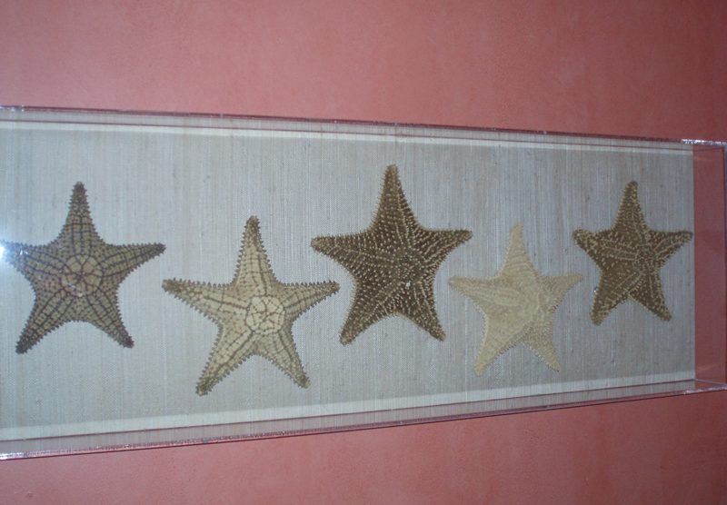 Starfish trim detail on linens in a coastal-themed bathroom